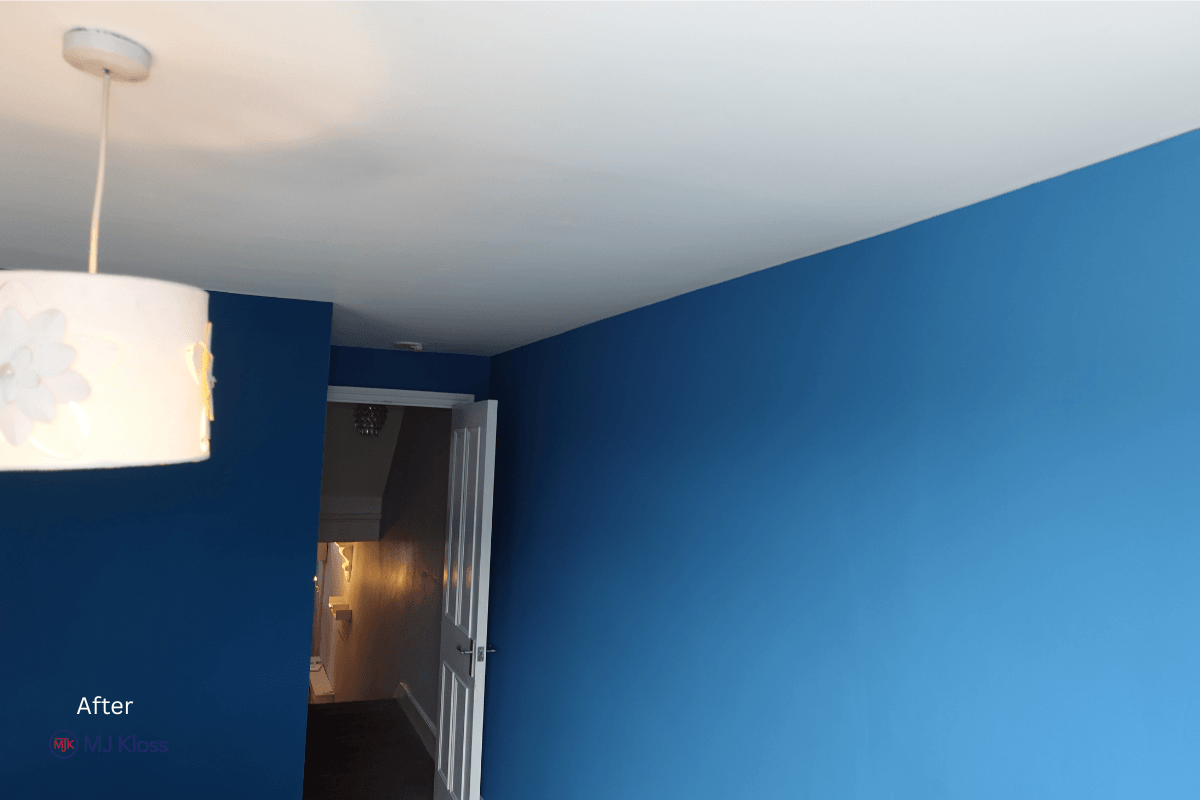 North London Decorating Case Study 4